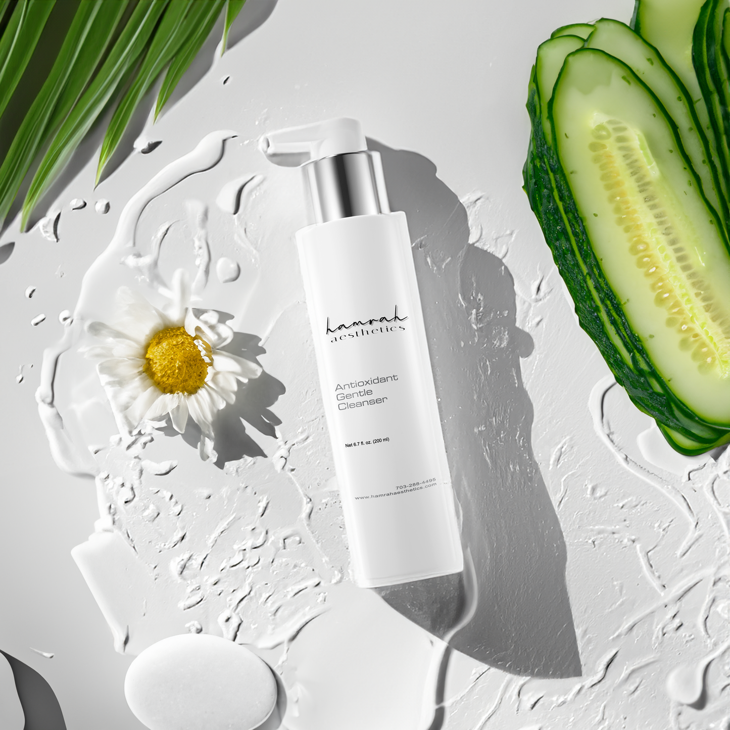 Antioxidant Gentle Cleanser